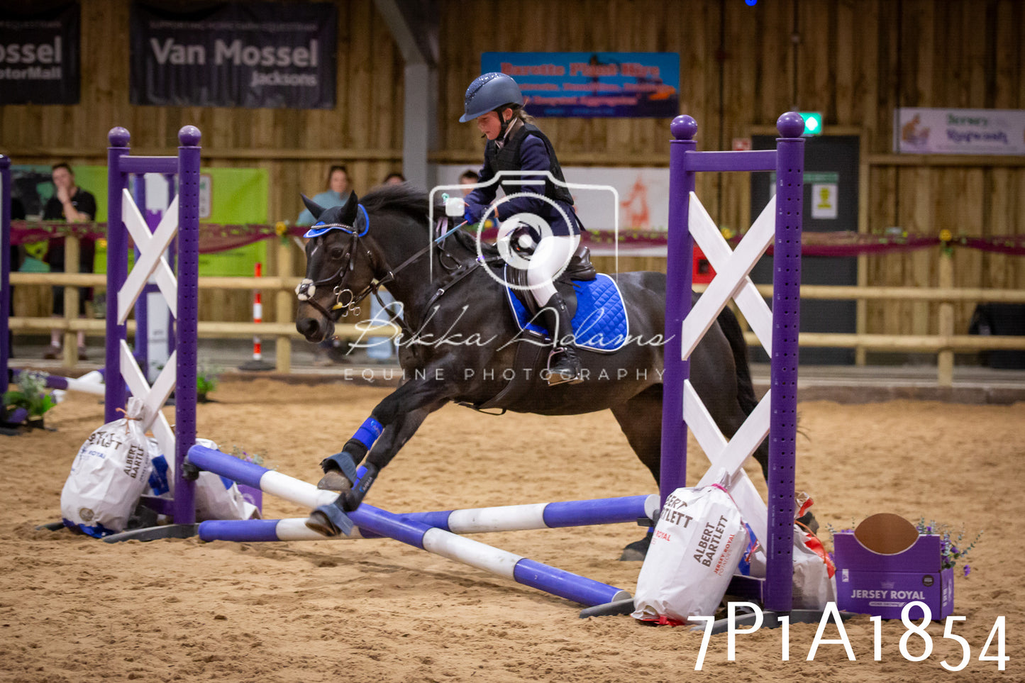 JHOYS 2025 - Show Jumping - 19th September pt1
