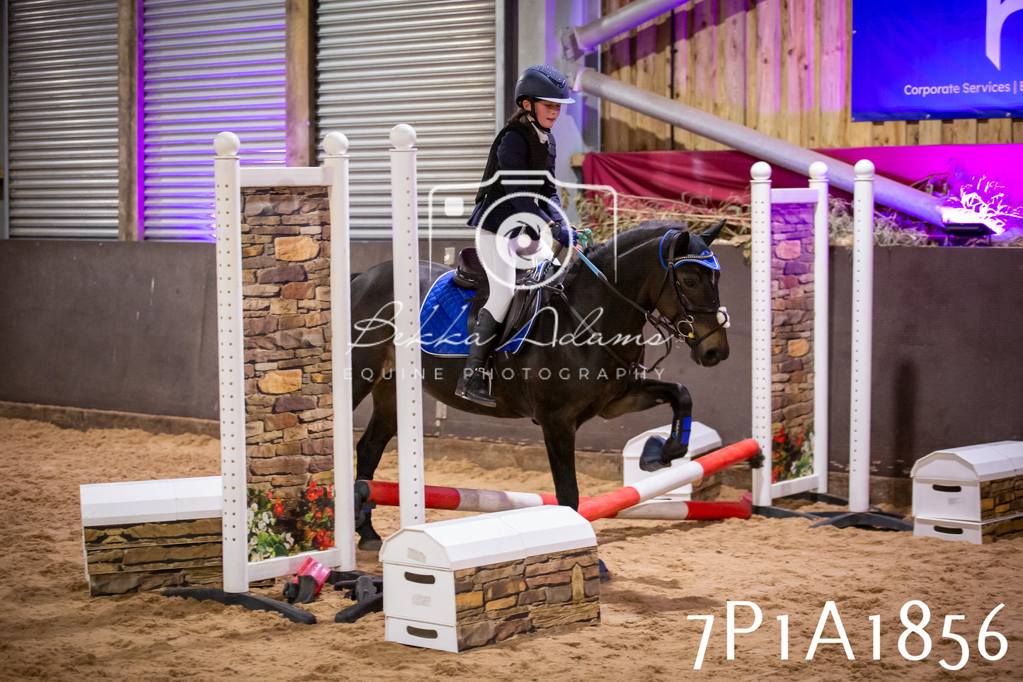 JHOYS 2025 - Show Jumping - 19th September pt1