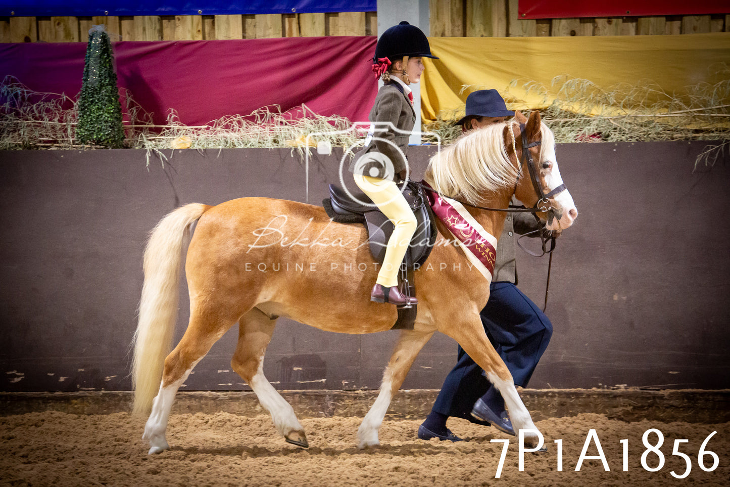 JHOYS 2025 - Ridden Showing - 28th September - pt1