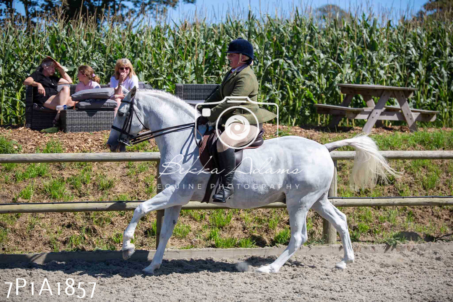 Home Farm Annual Show -Ridden Showing 20th August 2023