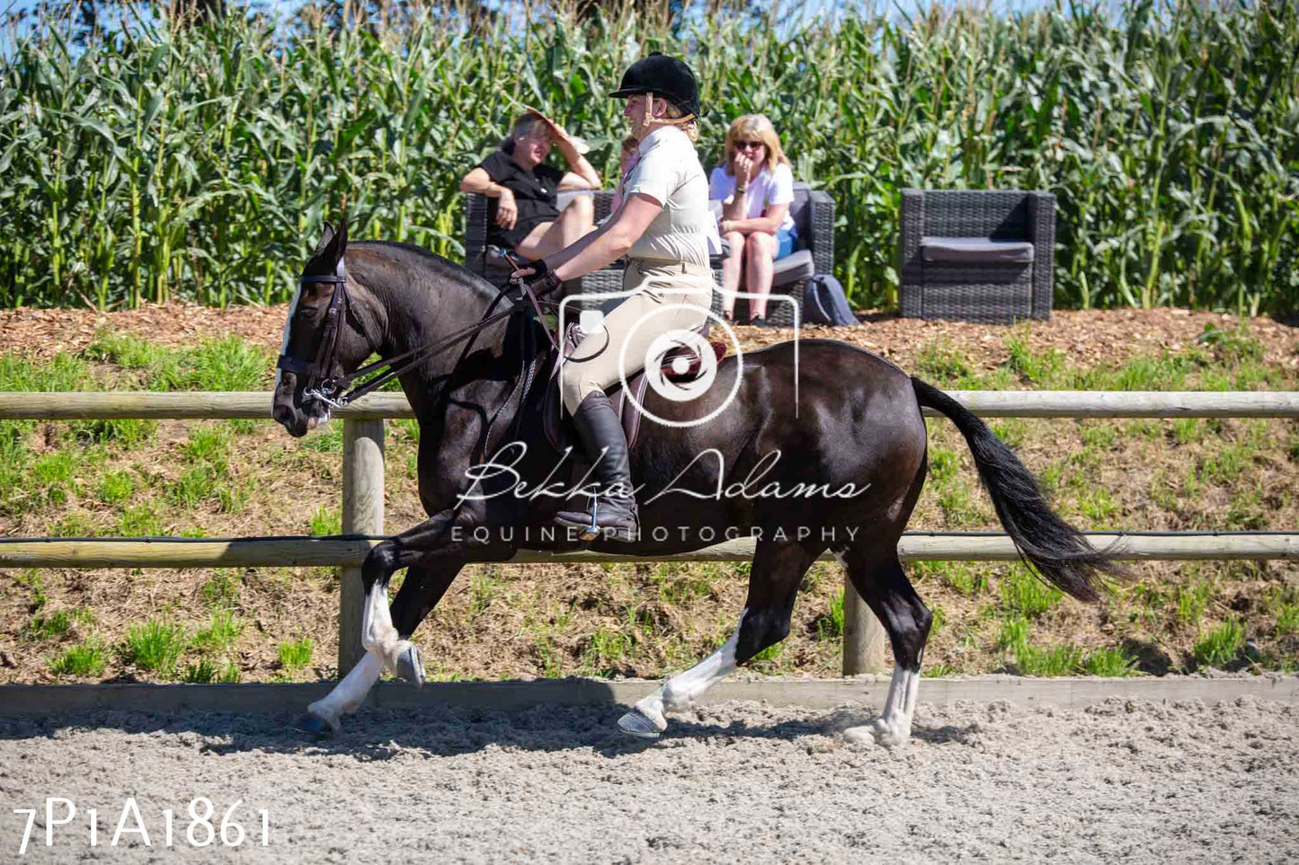 Home Farm Annual Show -Ridden Showing 20th August 2023