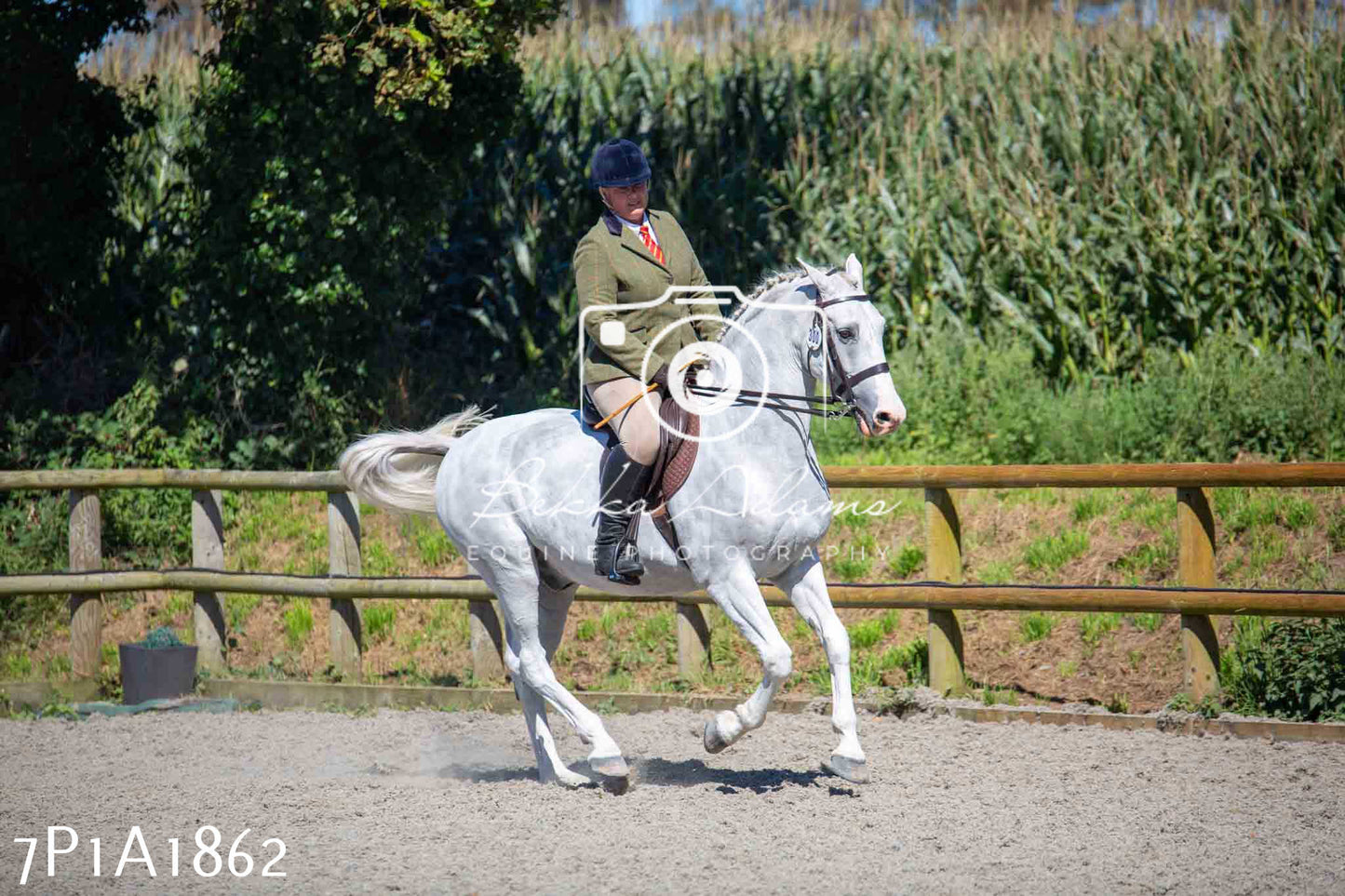Home Farm Annual Show -Ridden Showing 20th August 2023