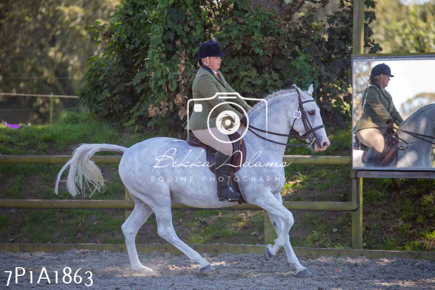 Home Farm Annual Show -Ridden Showing 20th August 2023