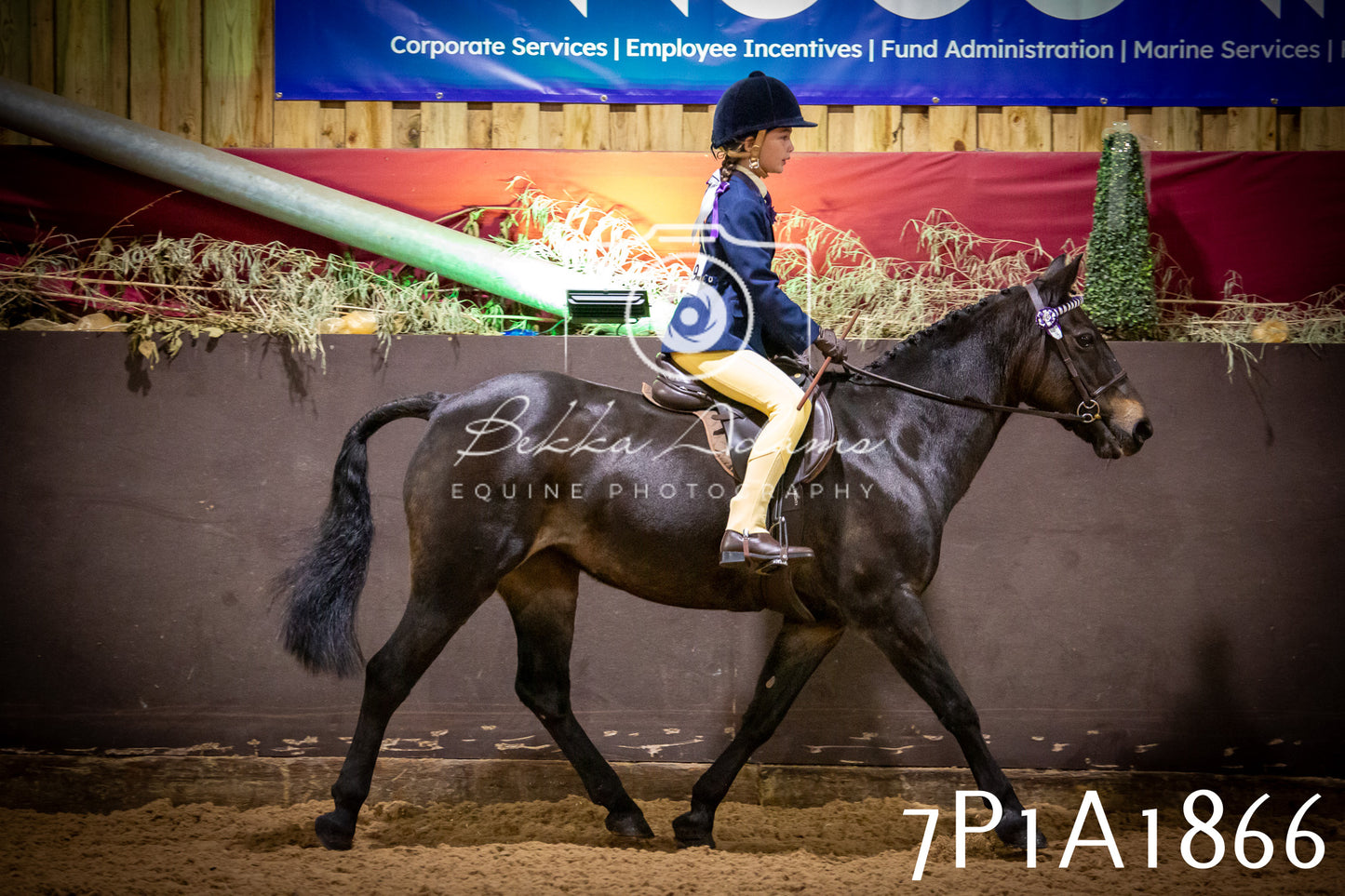 JHOYS 2025 - Ridden Showing - 28th September - pt1