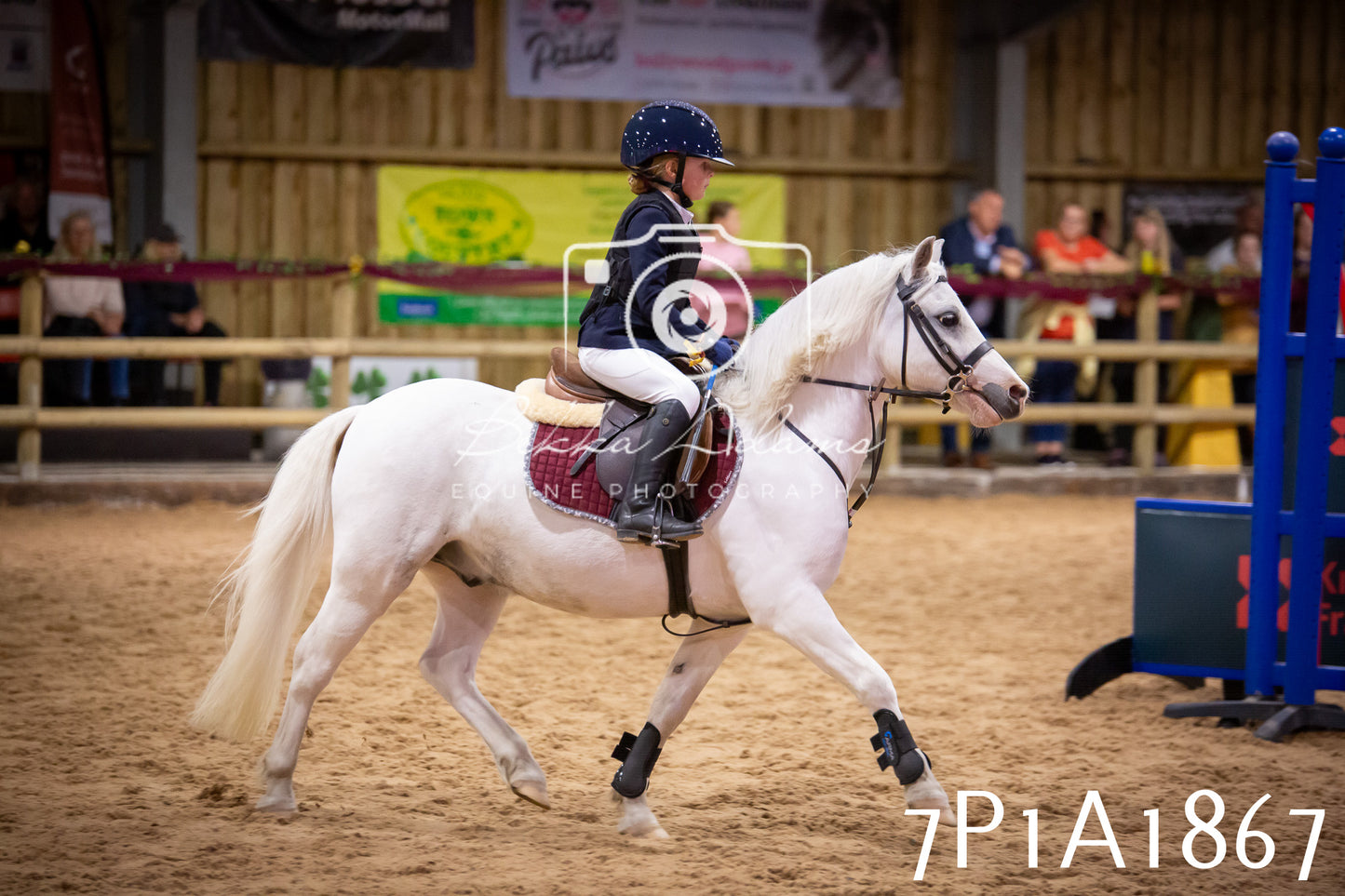 JHOYS 2025 - Show Jumping - 19th September pt1