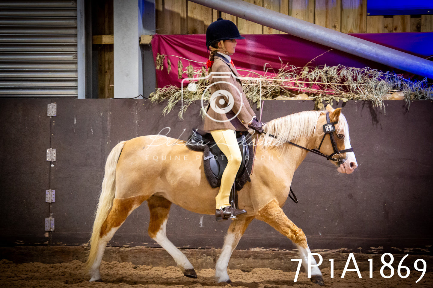 JHOYS 2025 - Ridden Showing - 28th September - pt1