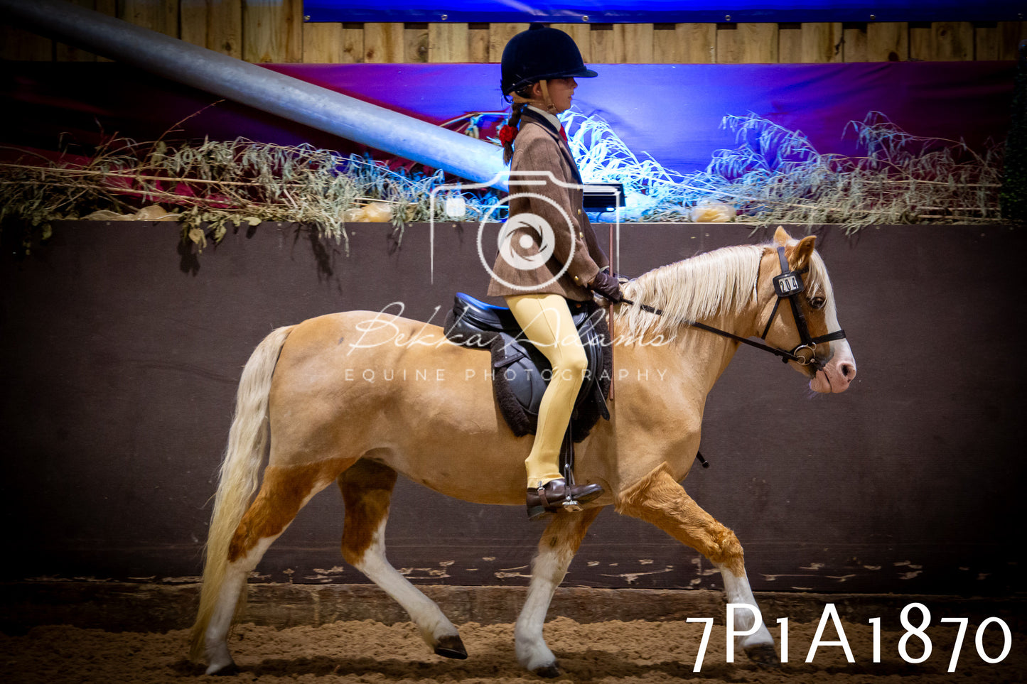 JHOYS 2025 - Ridden Showing - 28th September - pt1