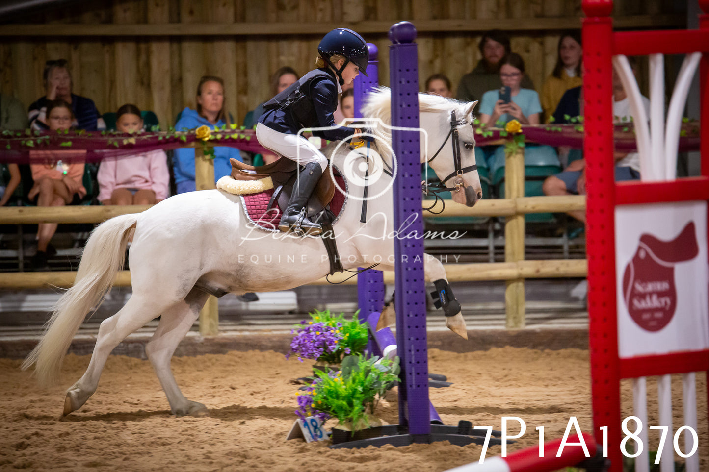 JHOYS 2025 - Show Jumping - 19th September pt1