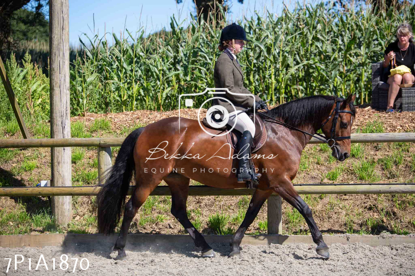 Home Farm Annual Show -Ridden Showing 20th August 2023
