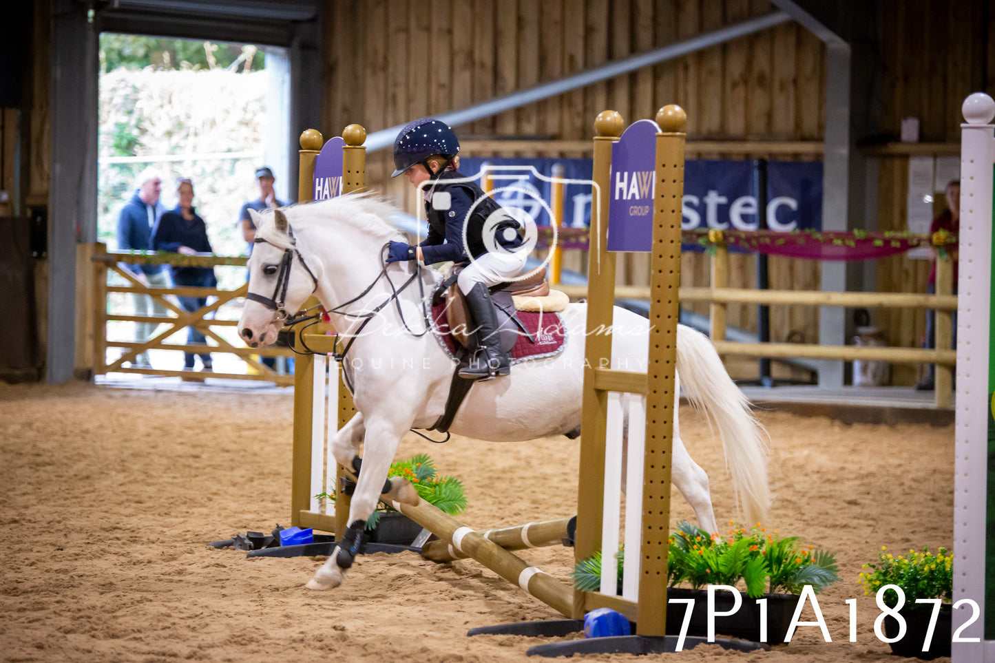 JHOYS 2025 - Show Jumping - 19th September pt1