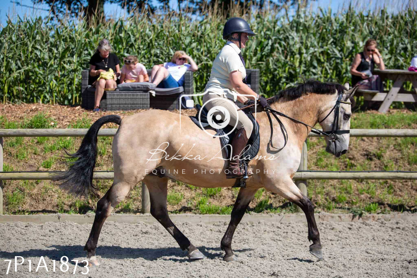 Home Farm Annual Show -Ridden Showing 20th August 2023
