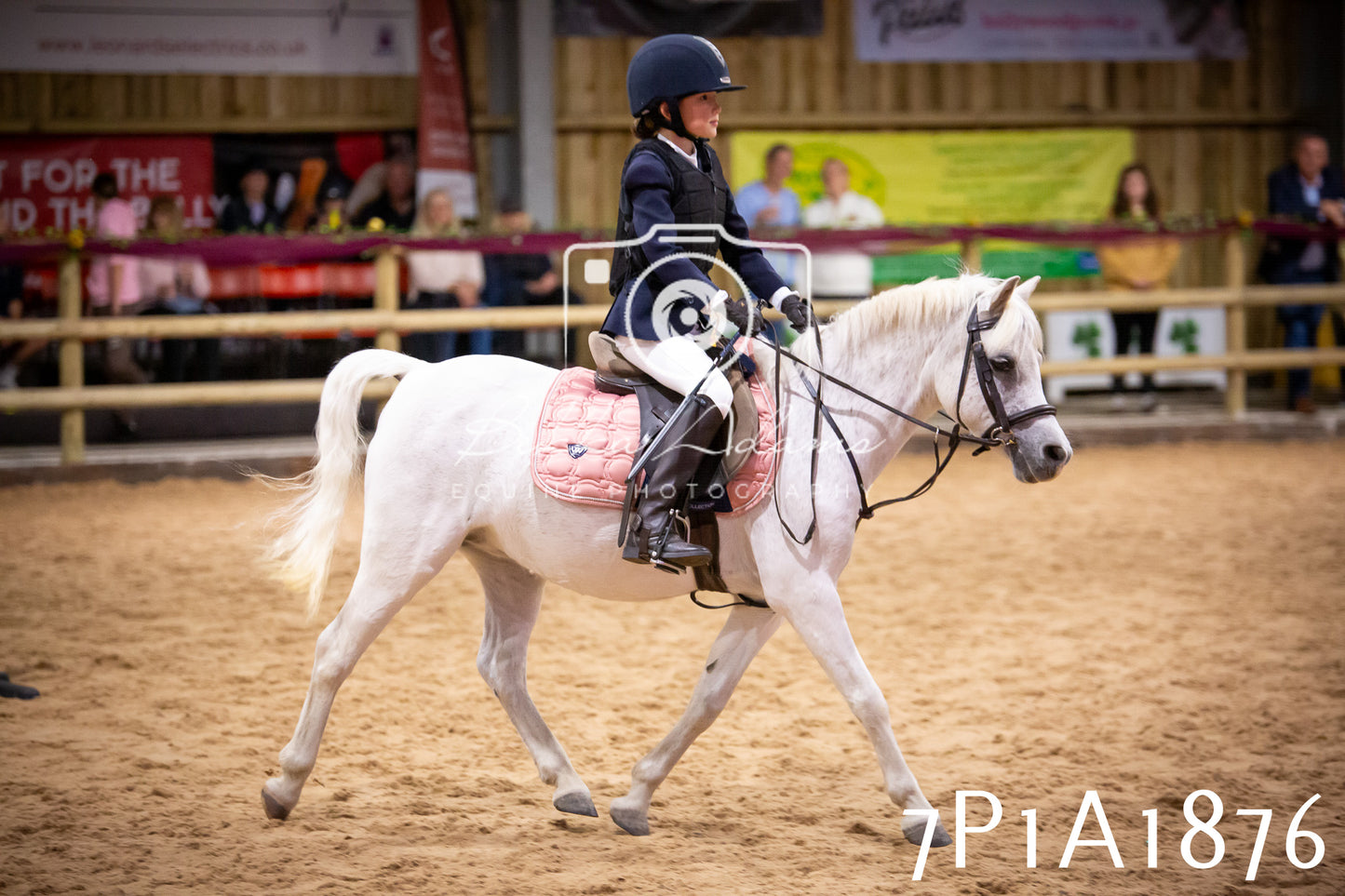 JHOYS 2025 - Show Jumping - 19th September pt1