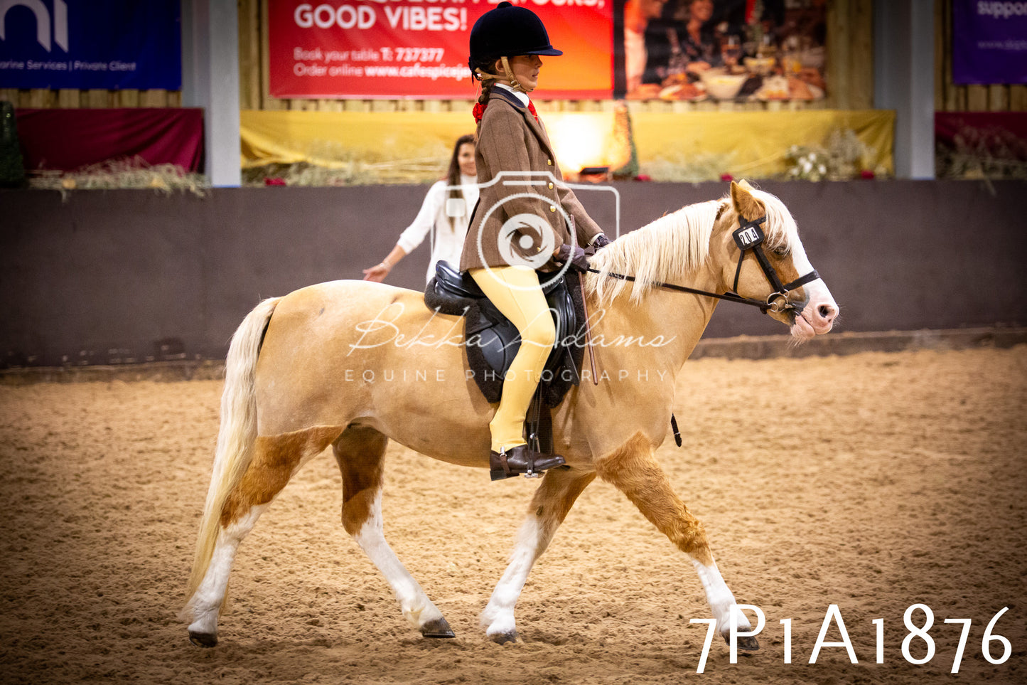 JHOYS 2025 - Ridden Showing - 28th September - pt1