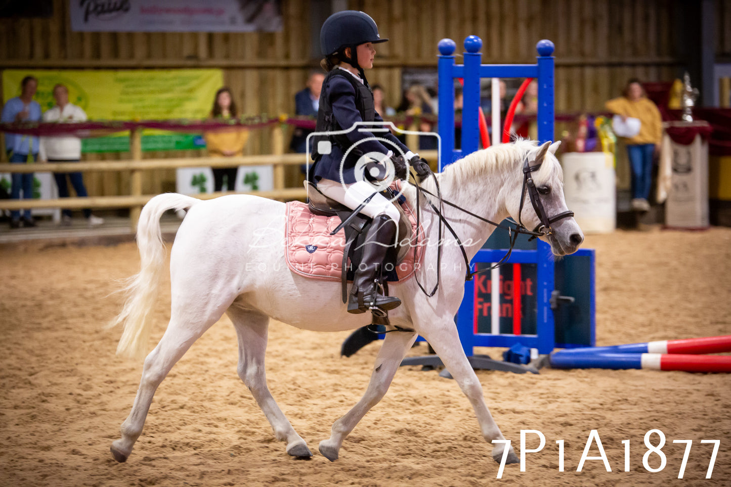 JHOYS 2025 - Show Jumping - 19th September pt1