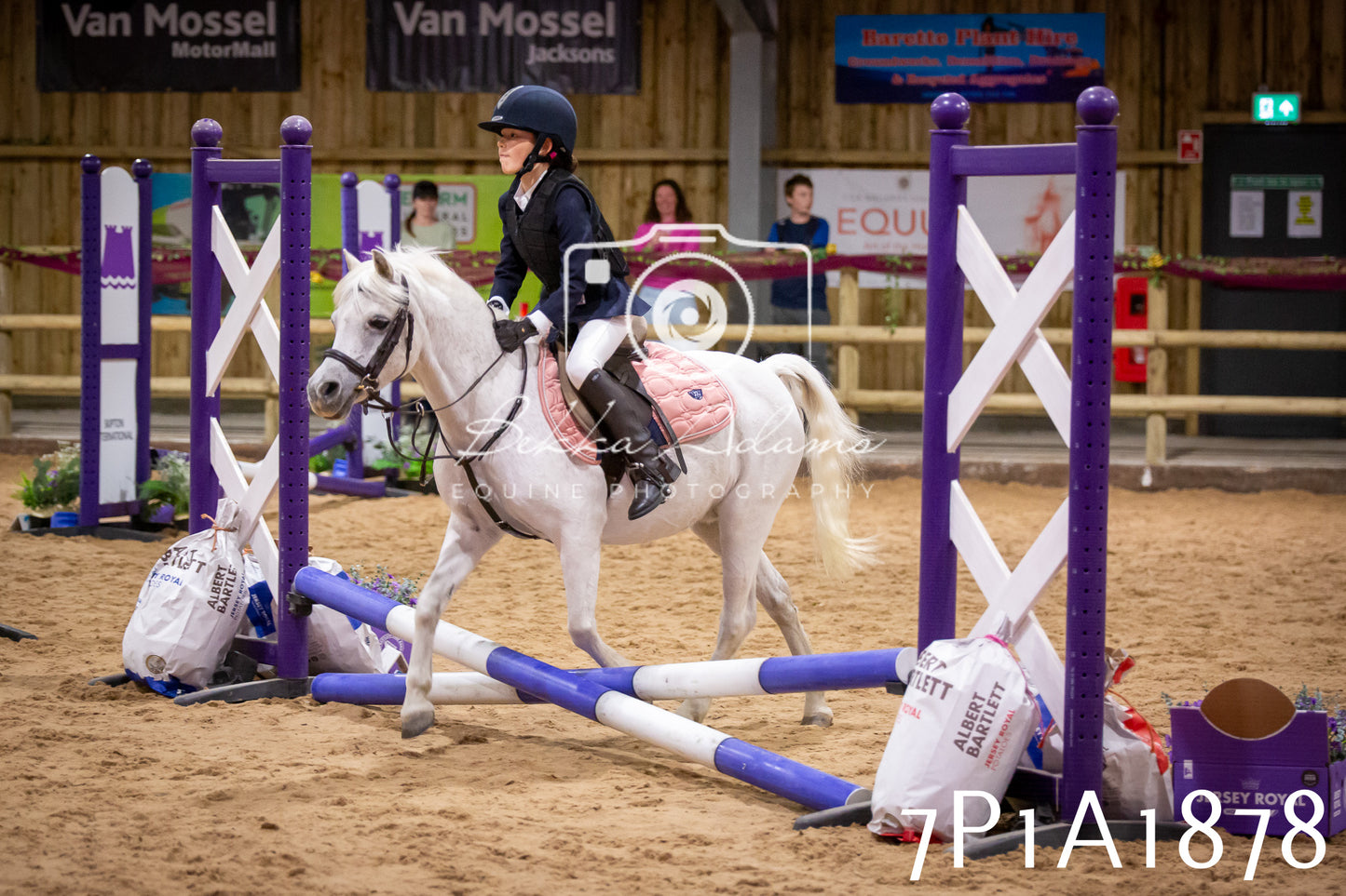 JHOYS 2025 - Show Jumping - 19th September pt1