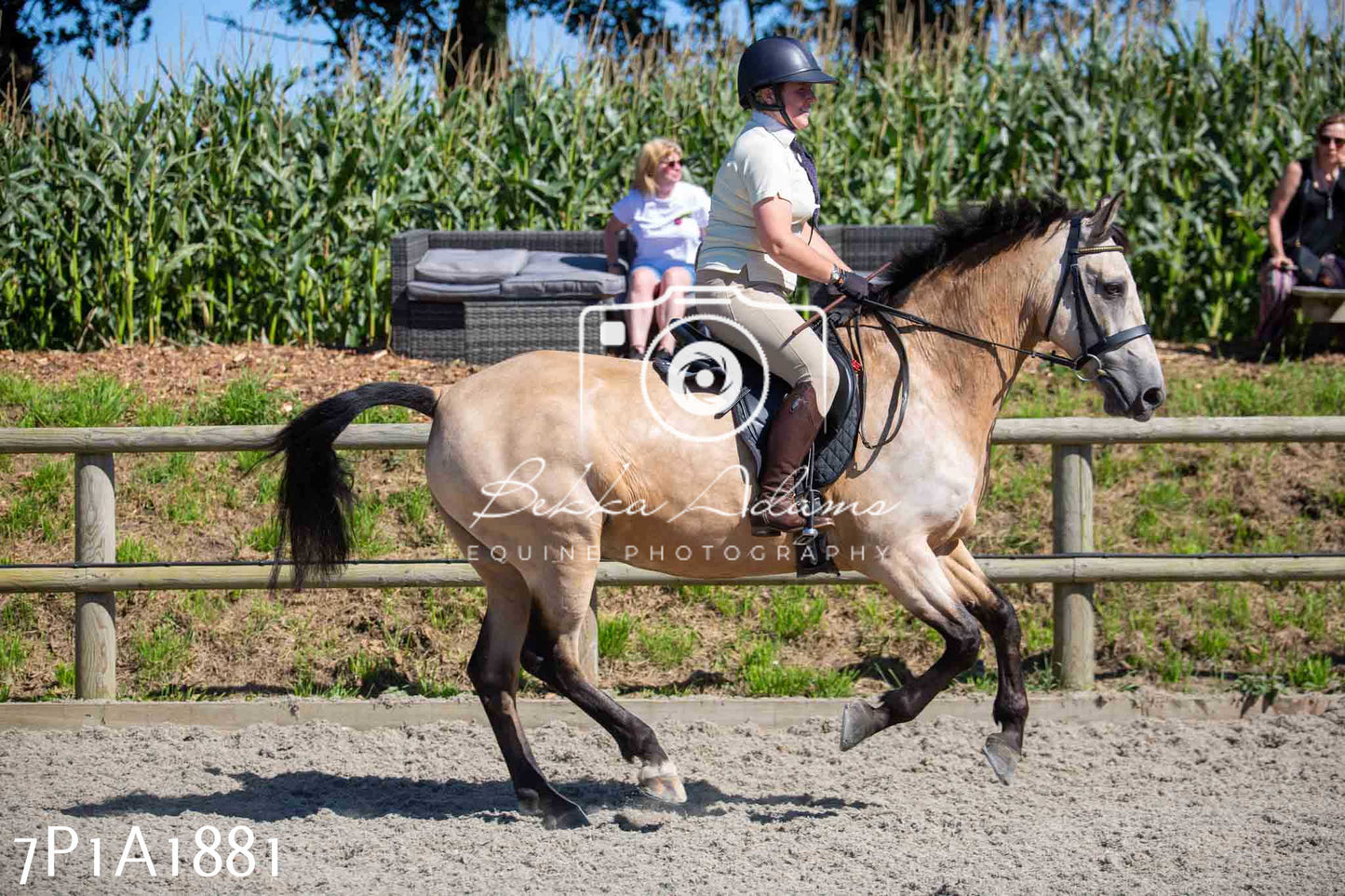 Home Farm Annual Show -Ridden Showing 20th August 2023