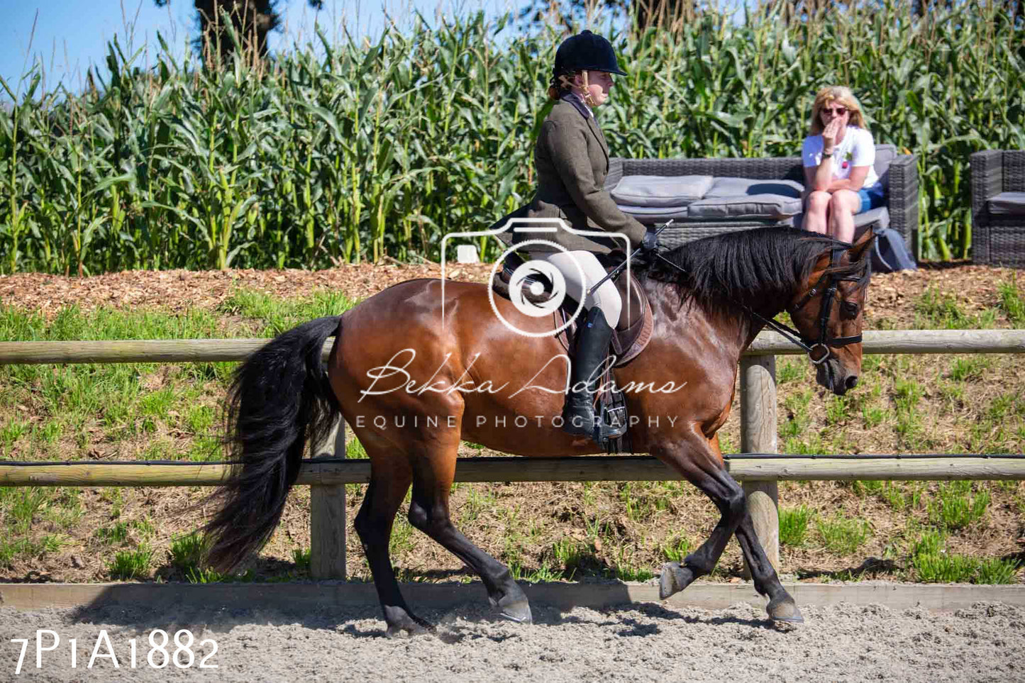Home Farm Annual Show -Ridden Showing 20th August 2023