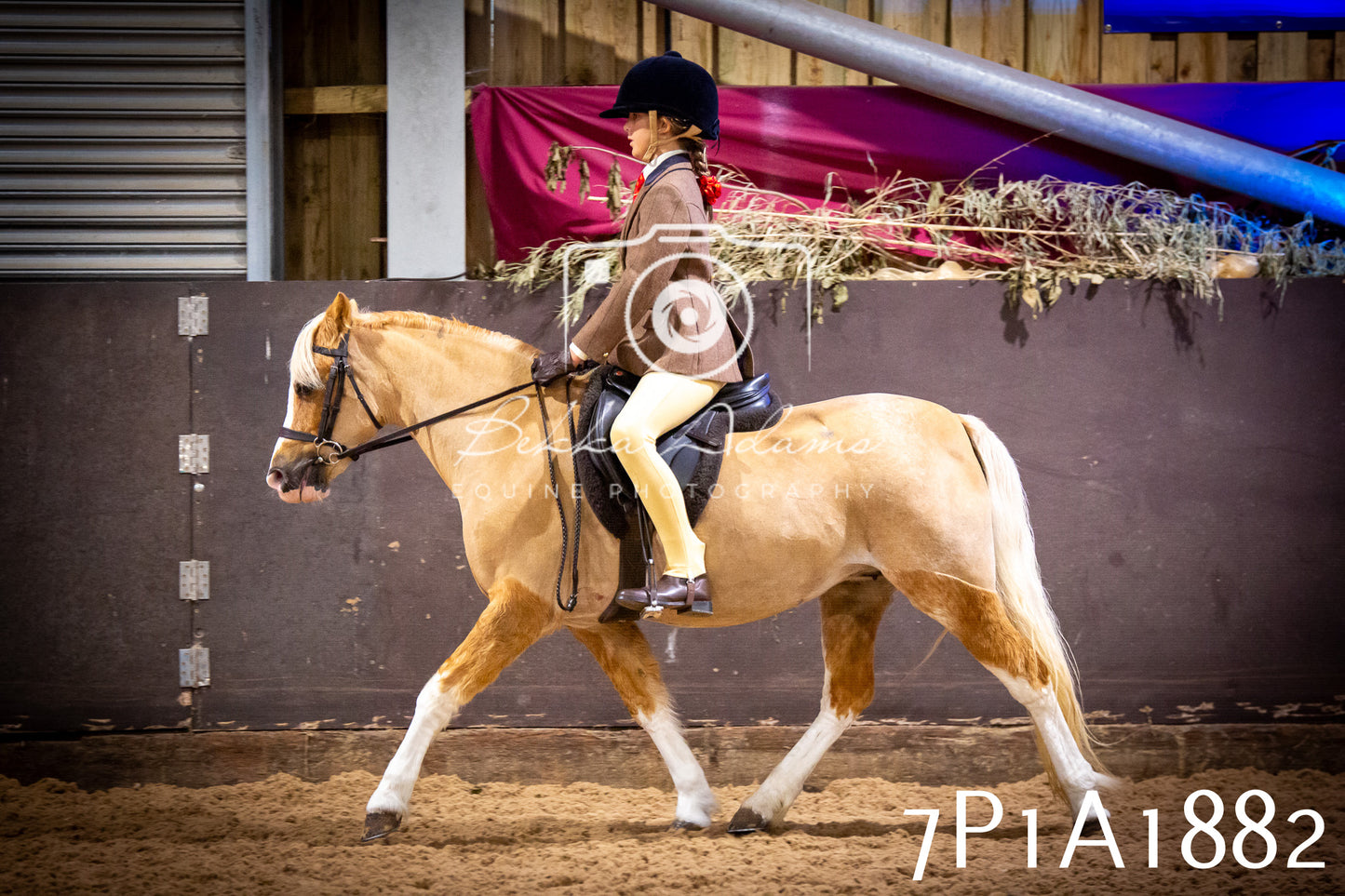 JHOYS 2025 - Ridden Showing - 28th September - pt1