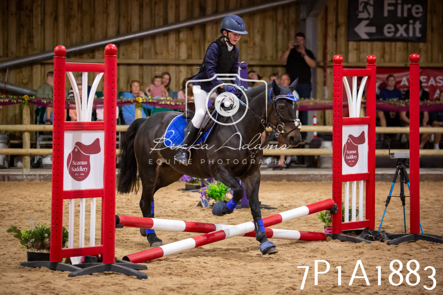 JHOYS 2025 - Show Jumping - 19th September pt1