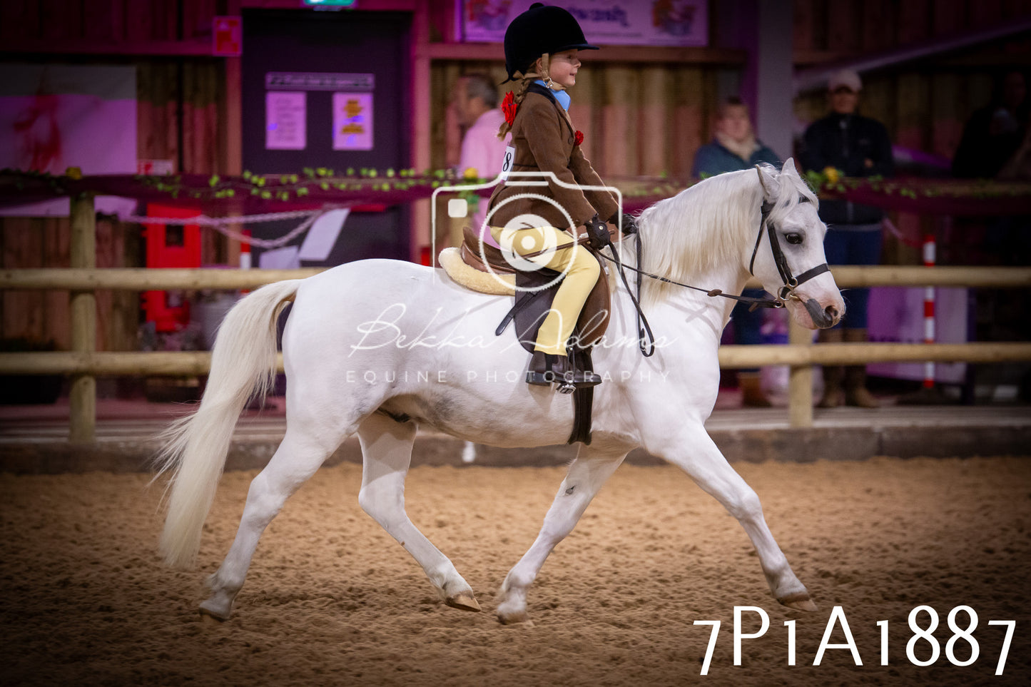 JHOYS 2025 - Ridden Showing - 28th September - pt1