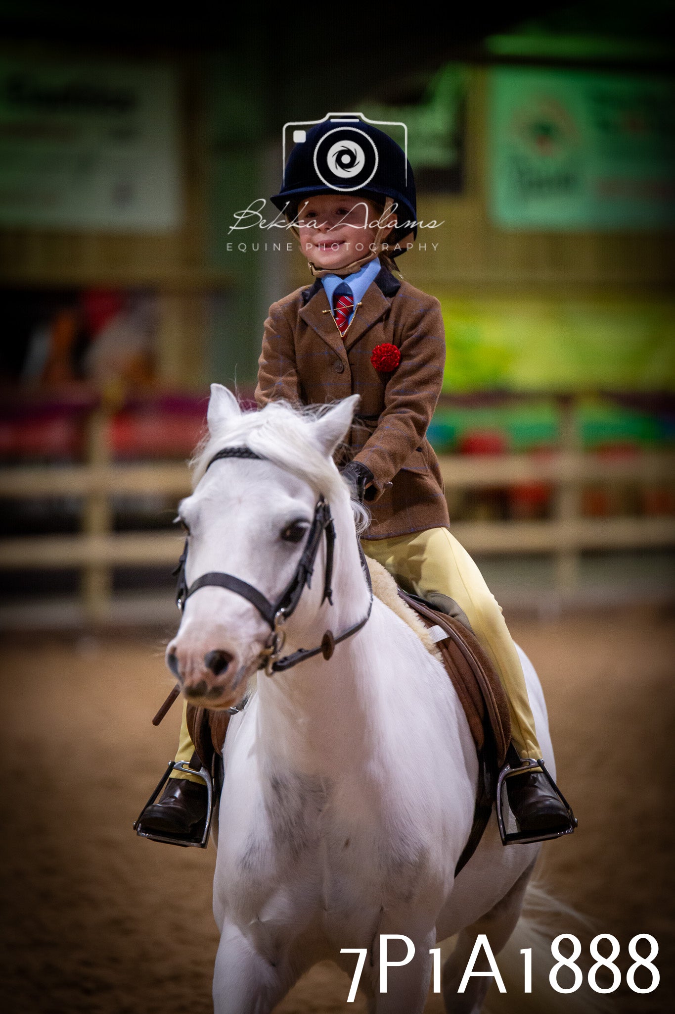 JHOYS 2025 - Ridden Showing - 28th September - pt1