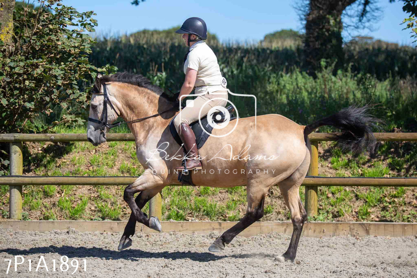 Home Farm Annual Show -Ridden Showing 20th August 2023