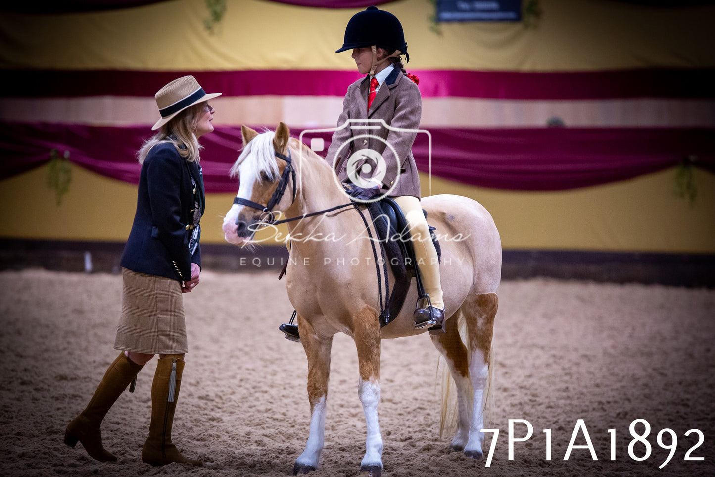 JHOYS 2025 - Ridden Showing - 28th September - pt1