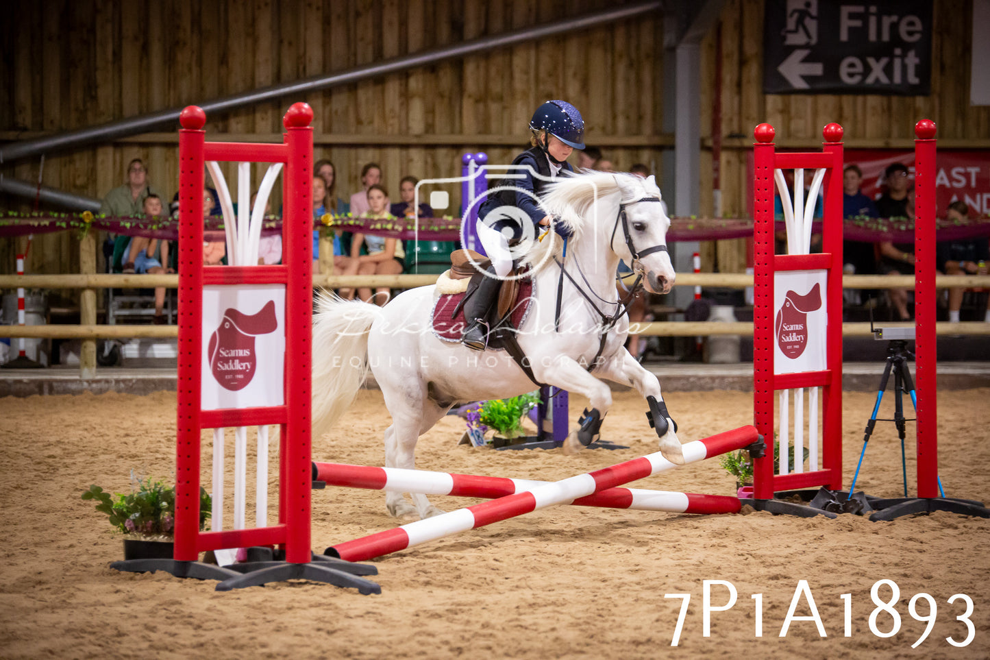 JHOYS 2025 - Show Jumping - 19th September pt1