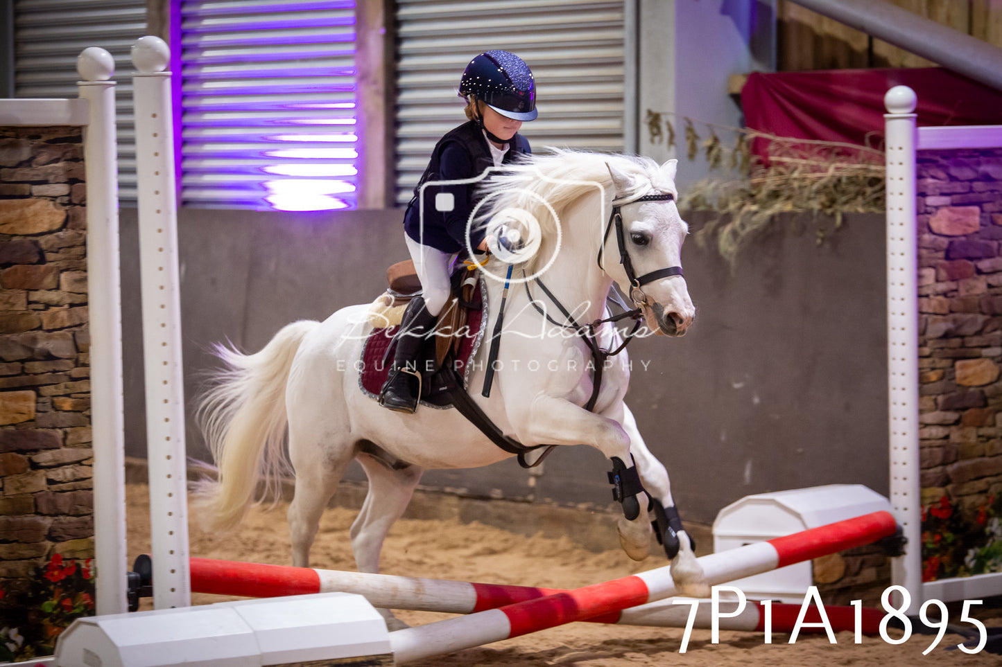 JHOYS 2025 - Show Jumping - 19th September pt1