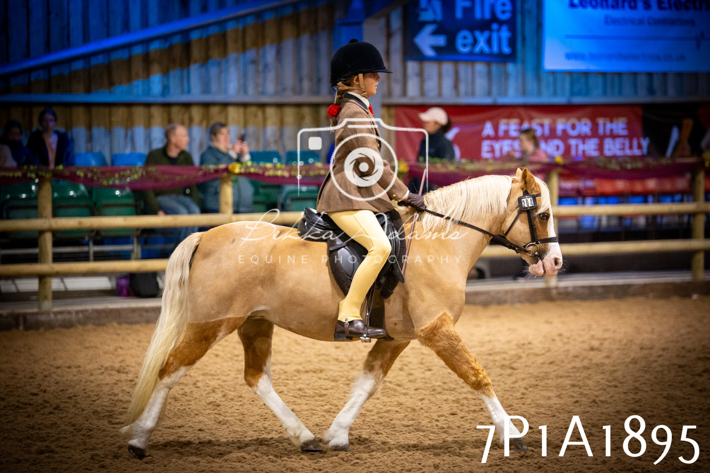 JHOYS 2025 - Ridden Showing - 28th September - pt1