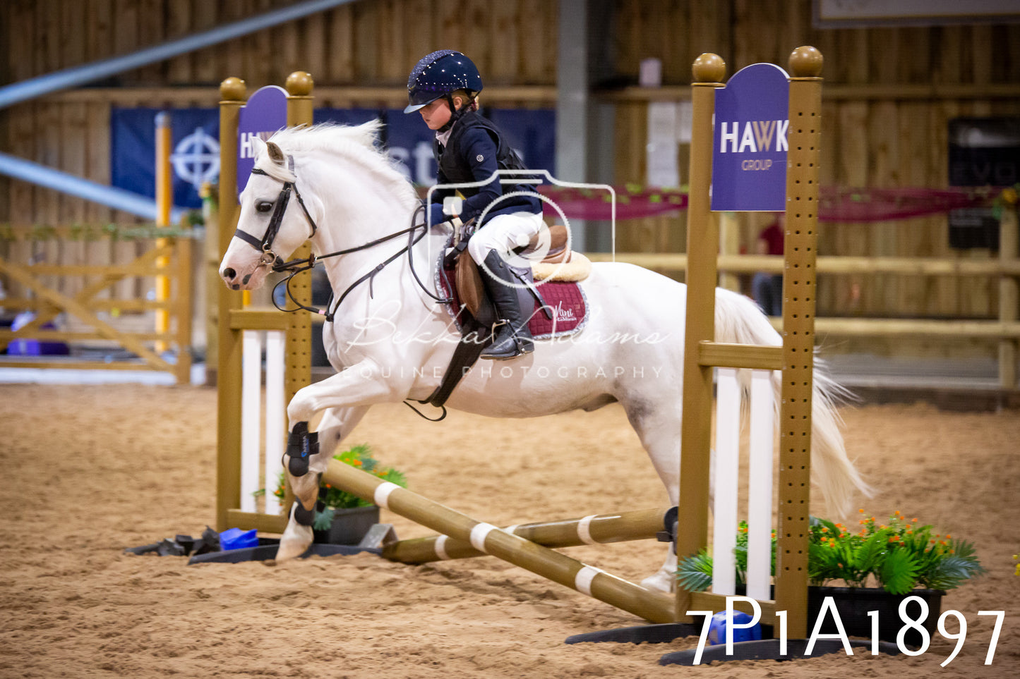 JHOYS 2025 - Show Jumping - 19th September pt1
