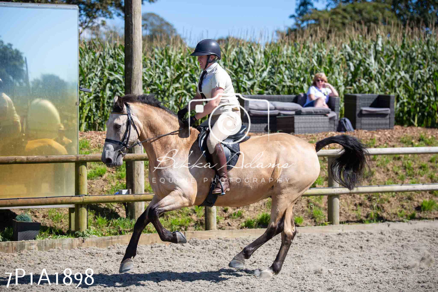 Home Farm Annual Show -Ridden Showing 20th August 2023
