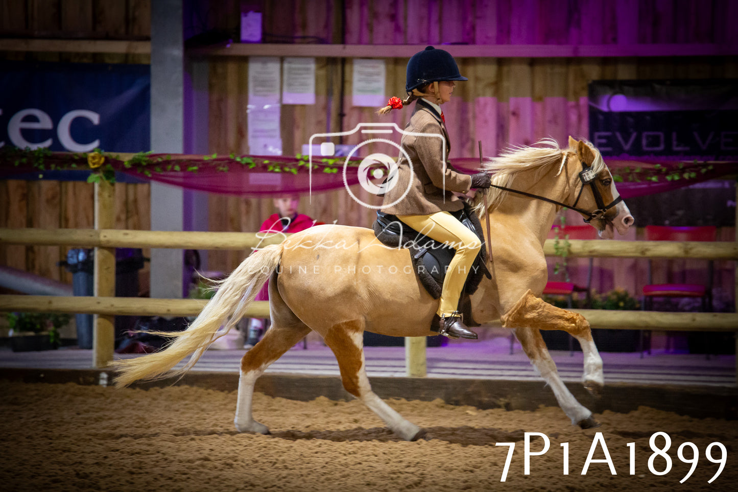 JHOYS 2025 - Ridden Showing - 28th September - pt1