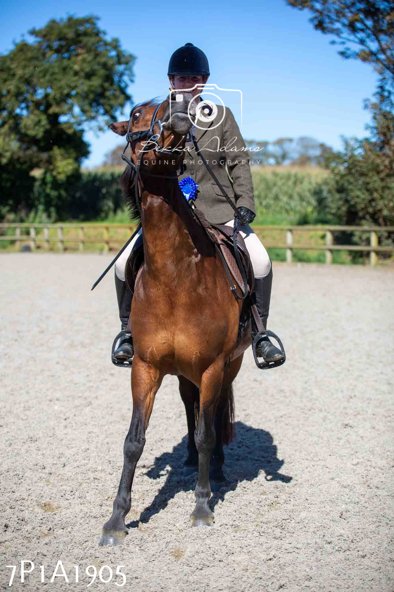 Home Farm Annual Show -Ridden Showing 20th August 2023