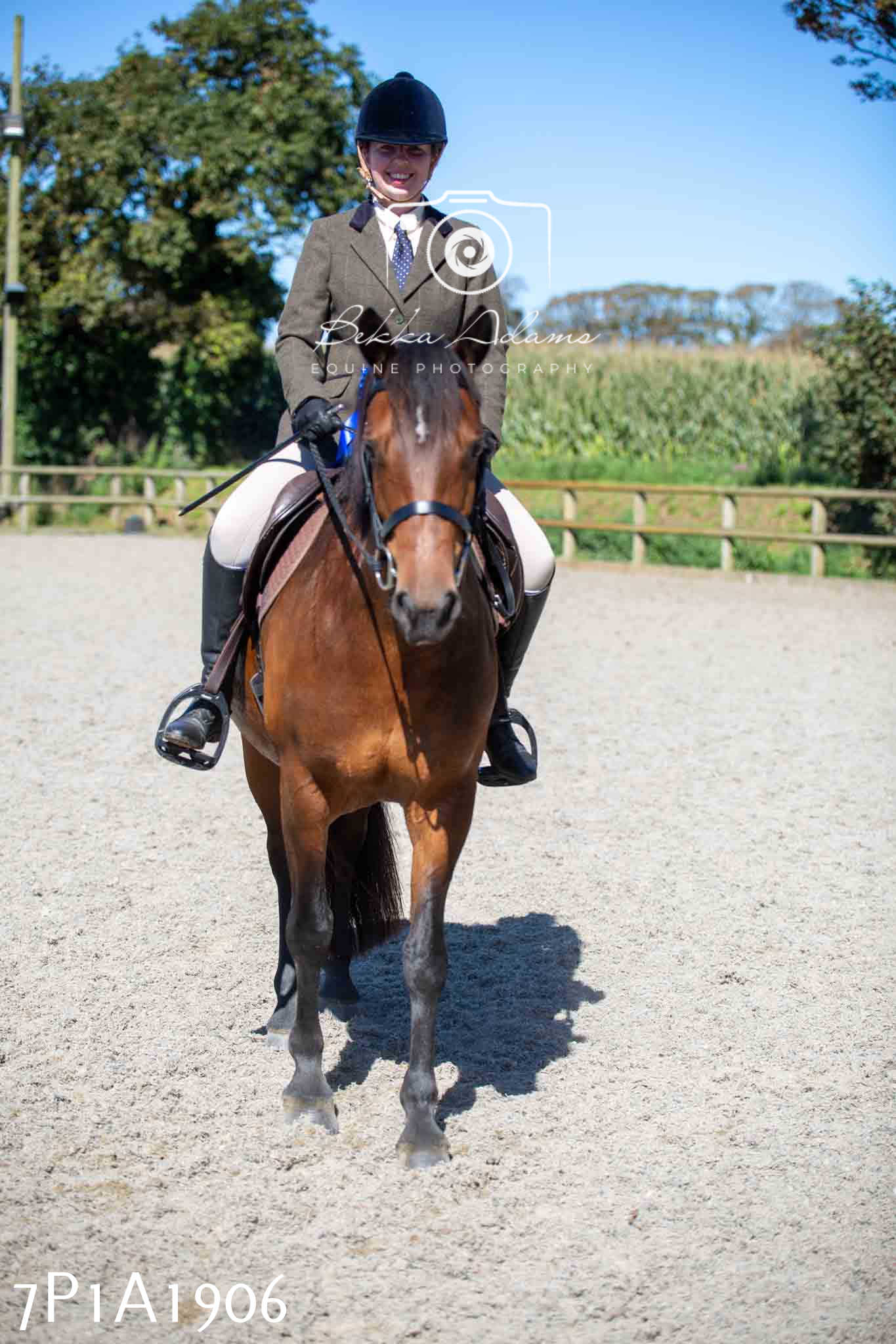 Home Farm Annual Show -Ridden Showing 20th August 2023