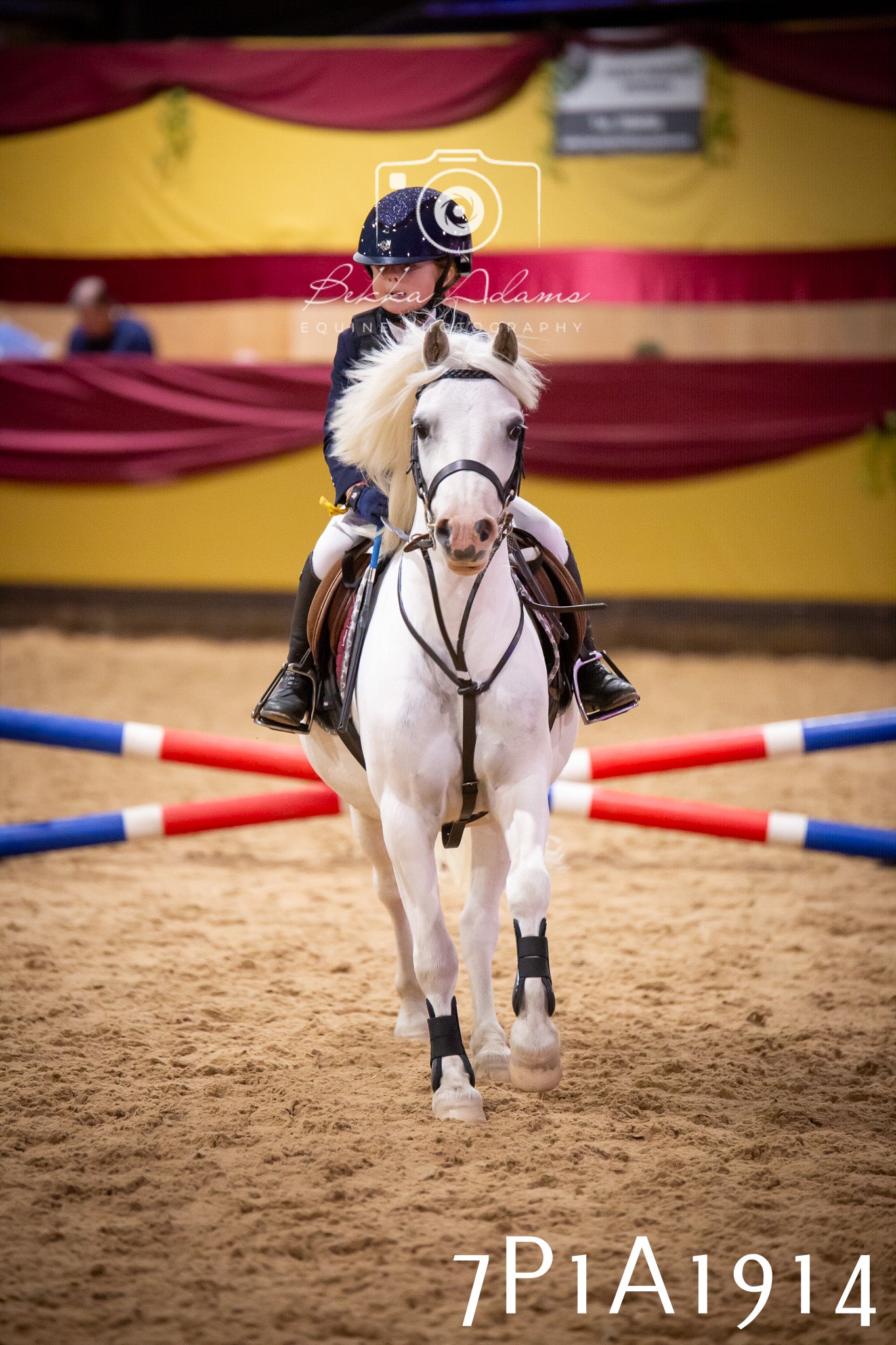 JHOYS 2025 - Show Jumping - 19th September pt1
