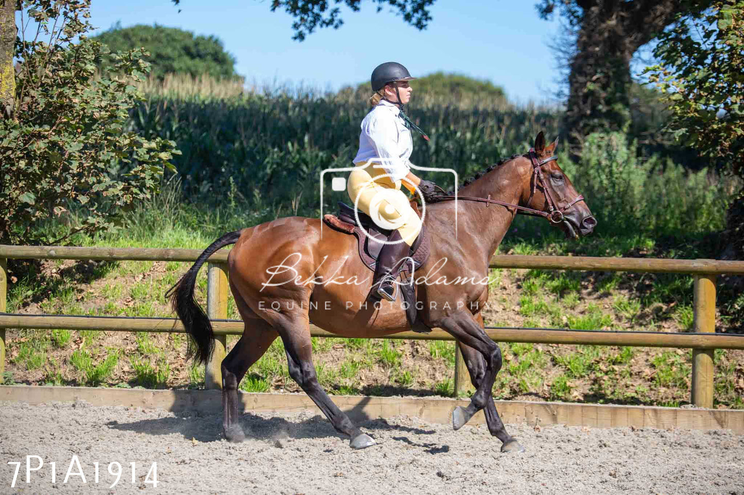 Home Farm Annual Show -Ridden Showing 20th August 2023