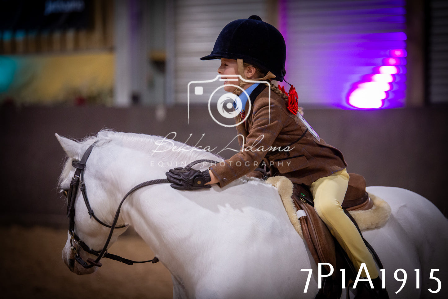 JHOYS 2025 - Ridden Showing - 28th September - pt1