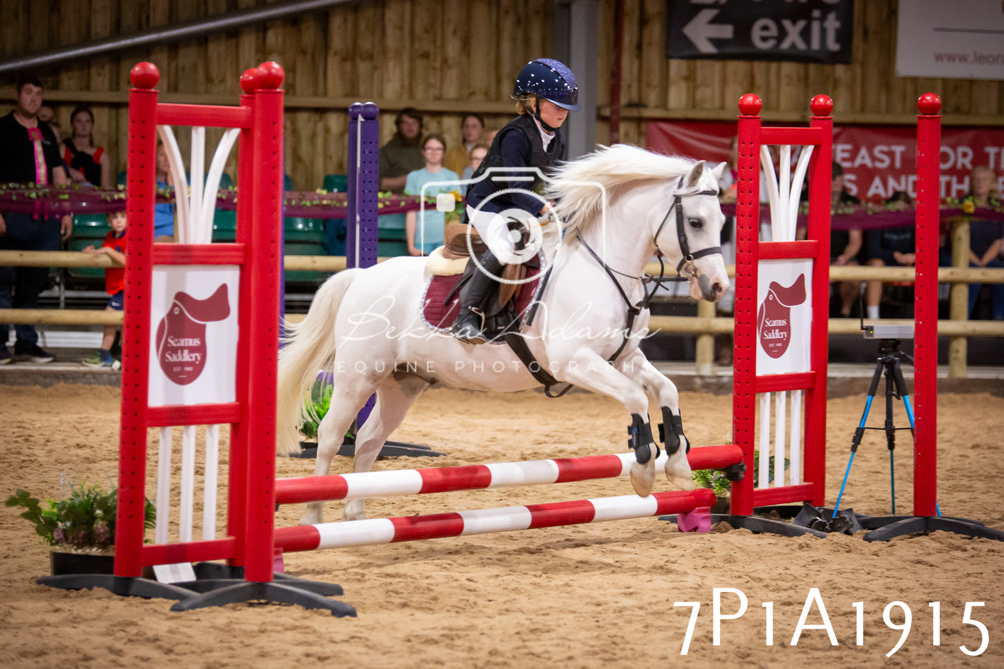 JHOYS 2025 - Show Jumping - 19th September pt1