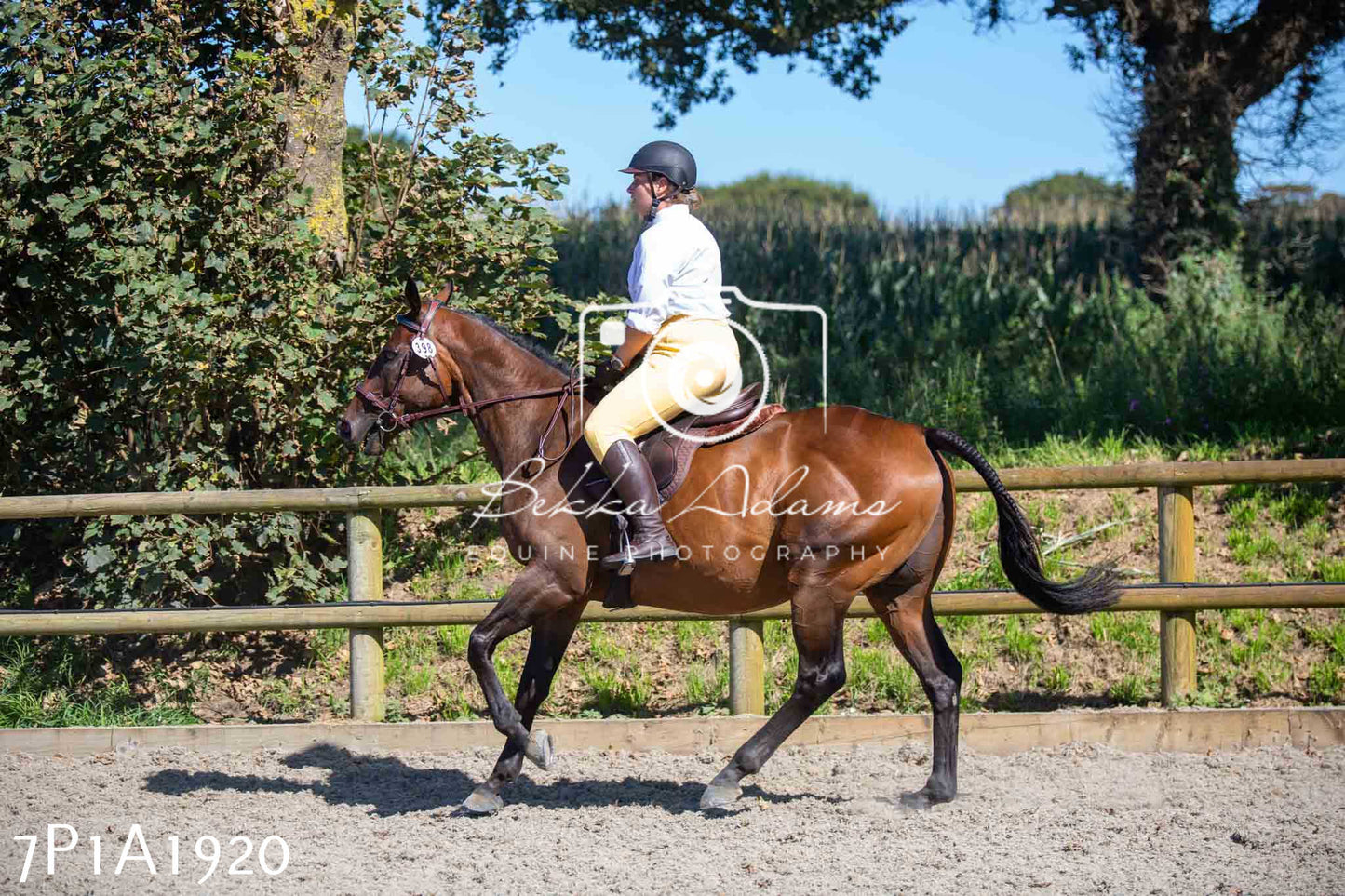 Home Farm Annual Show -Ridden Showing 20th August 2023