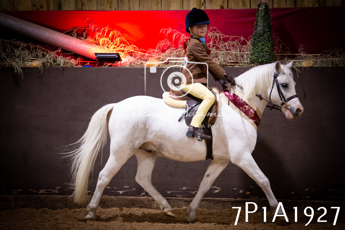 JHOYS 2025 - Ridden Showing - 28th September - pt1