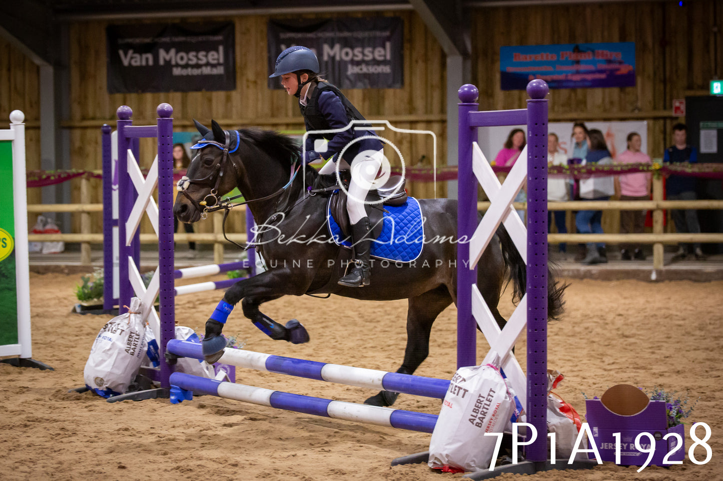 JHOYS 2025 - Show Jumping - 19th September pt2