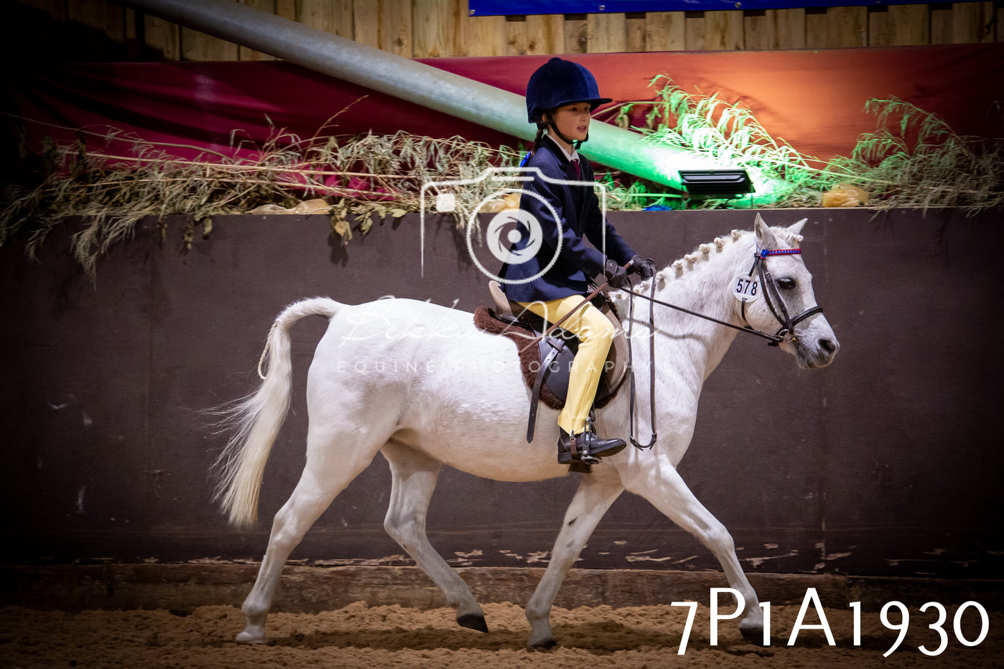 JHOYS 2025 - Ridden Showing - 28th September - pt1