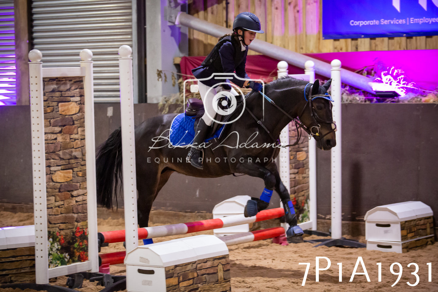 JHOYS 2025 - Show Jumping - 19th September pt2