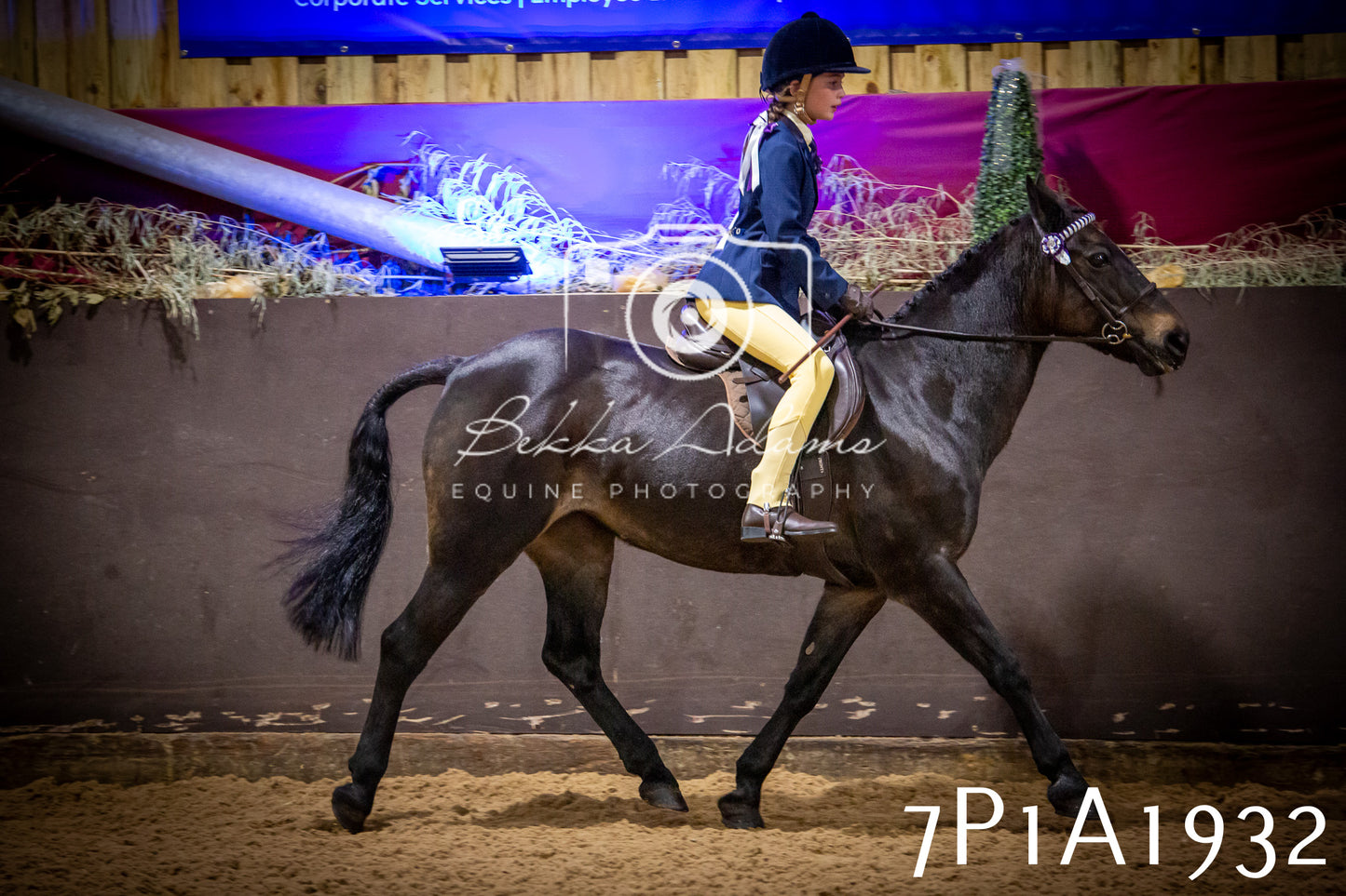 JHOYS 2025 - Ridden Showing - 28th September - pt1