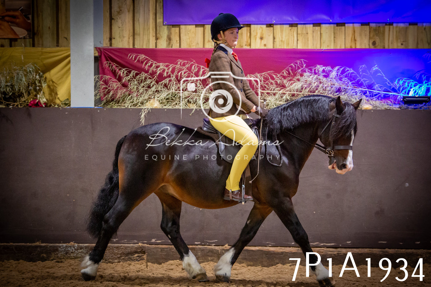 JHOYS 2025 - Ridden Showing - 28th September - pt1