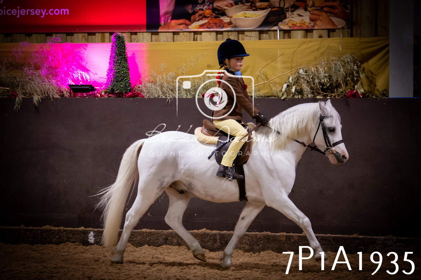 JHOYS 2025 - Ridden Showing - 28th September - pt1
