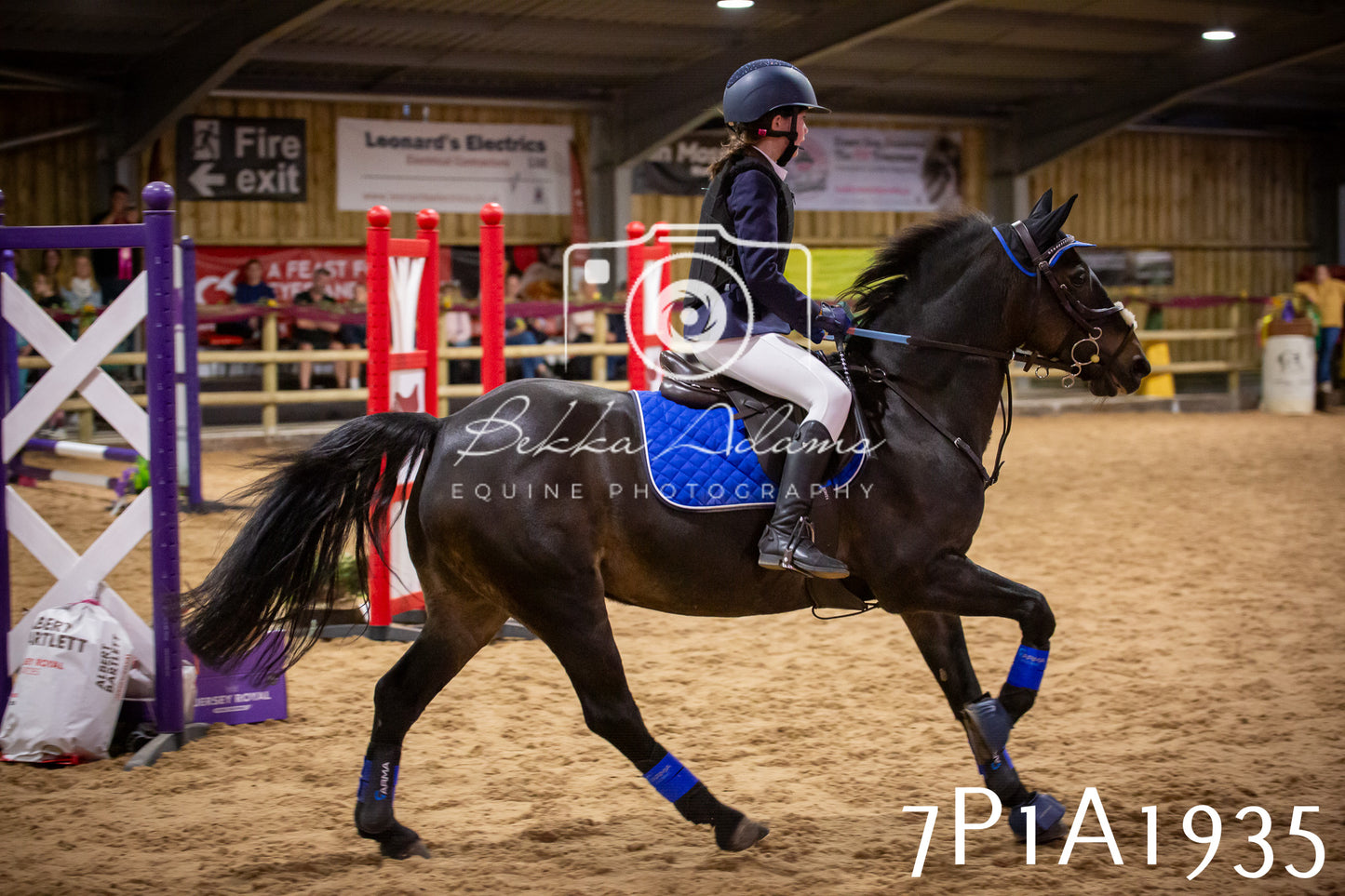 JHOYS 2025 - Show Jumping - 19th September pt2