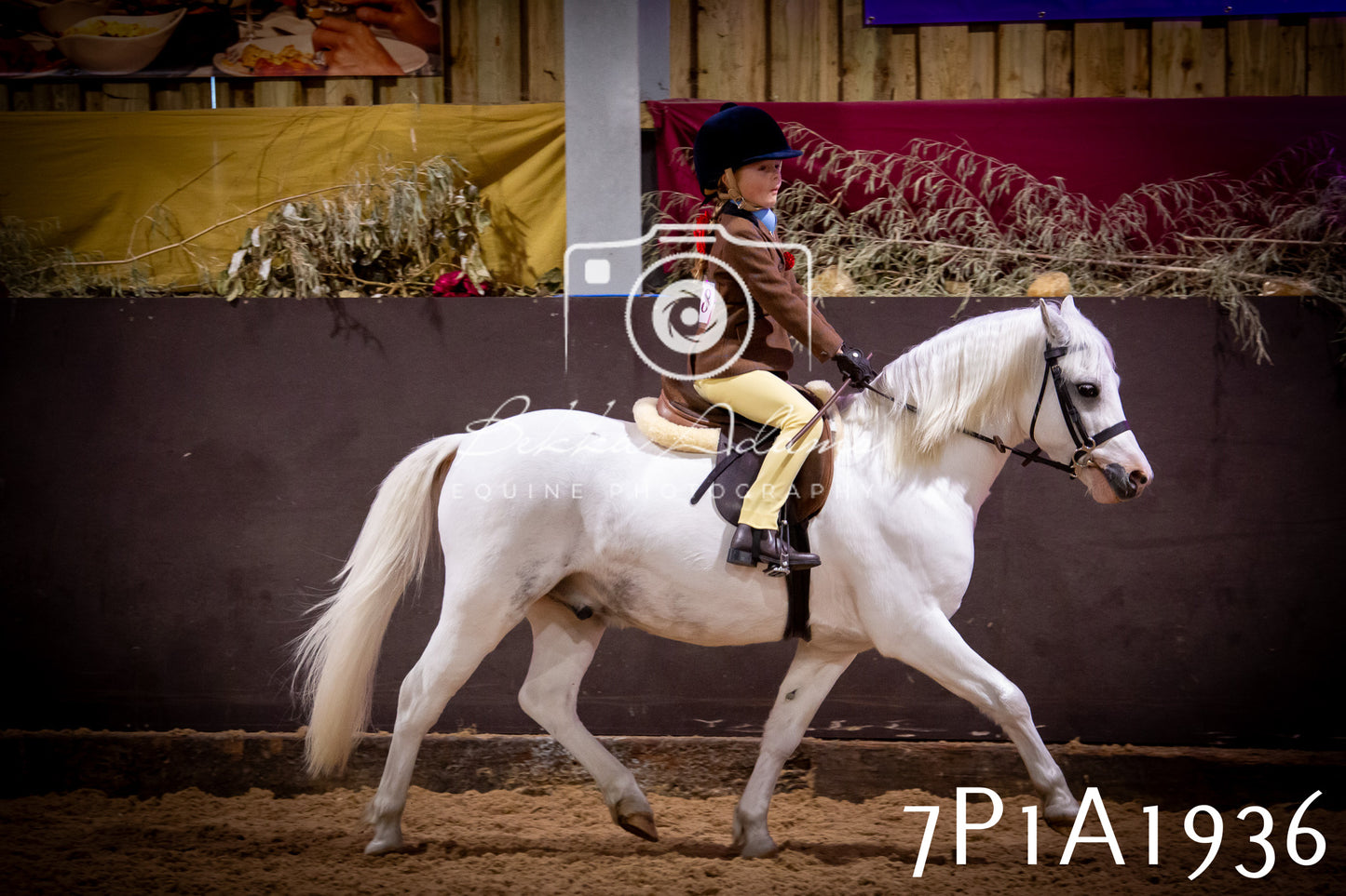 JHOYS 2025 - Ridden Showing - 28th September - pt1