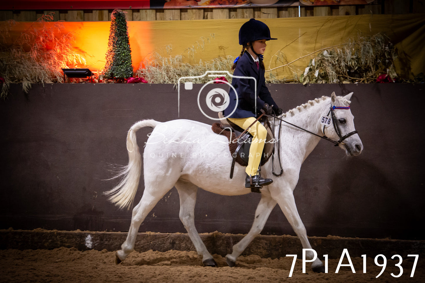 JHOYS 2025 - Ridden Showing - 28th September - pt1
